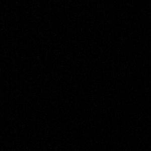 Meet your Posher, Talia